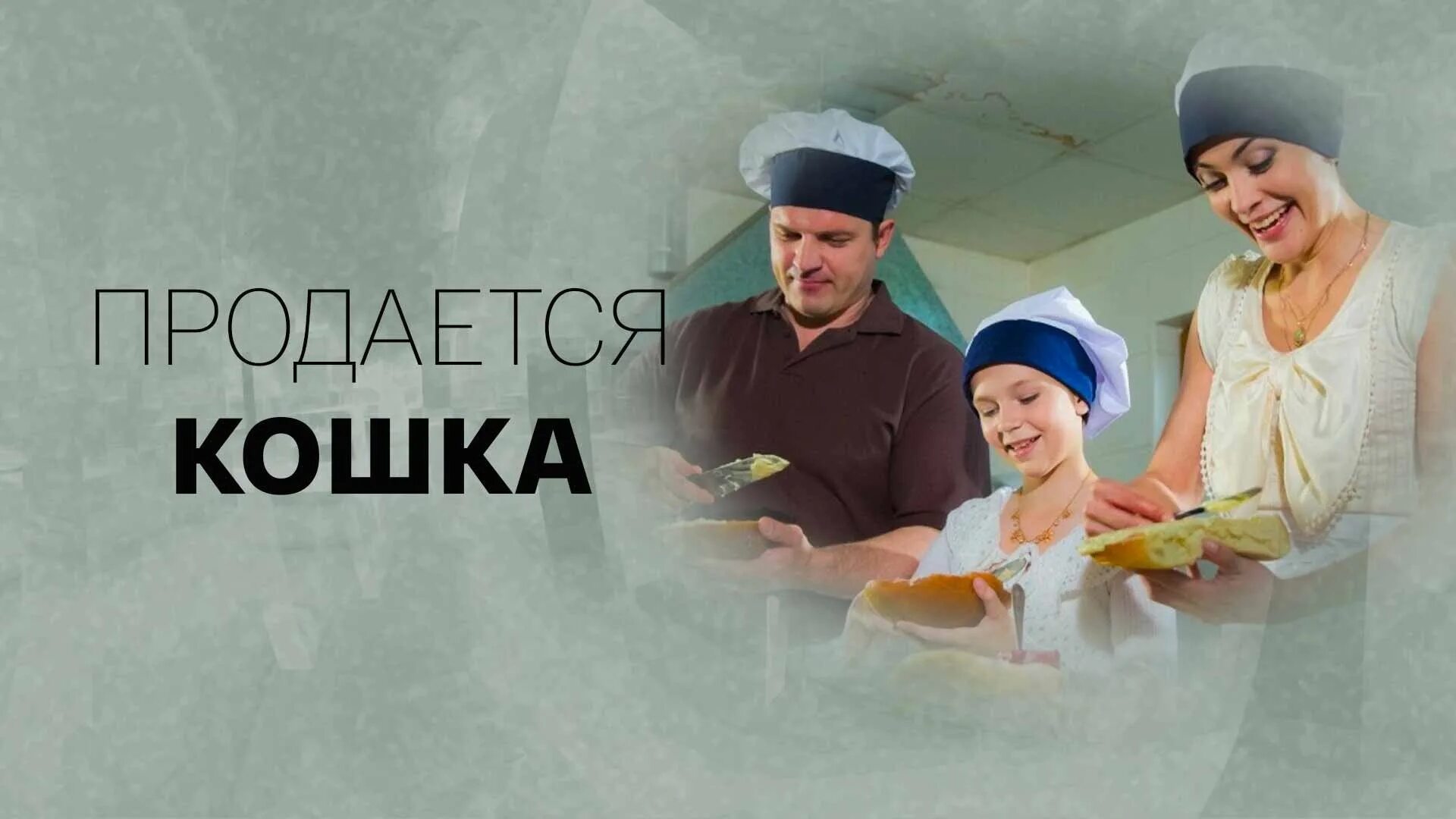 Продаются кошки. Кошка мелодрама продаётся. "Продается кошка" кадры. Продается кошка отзывы