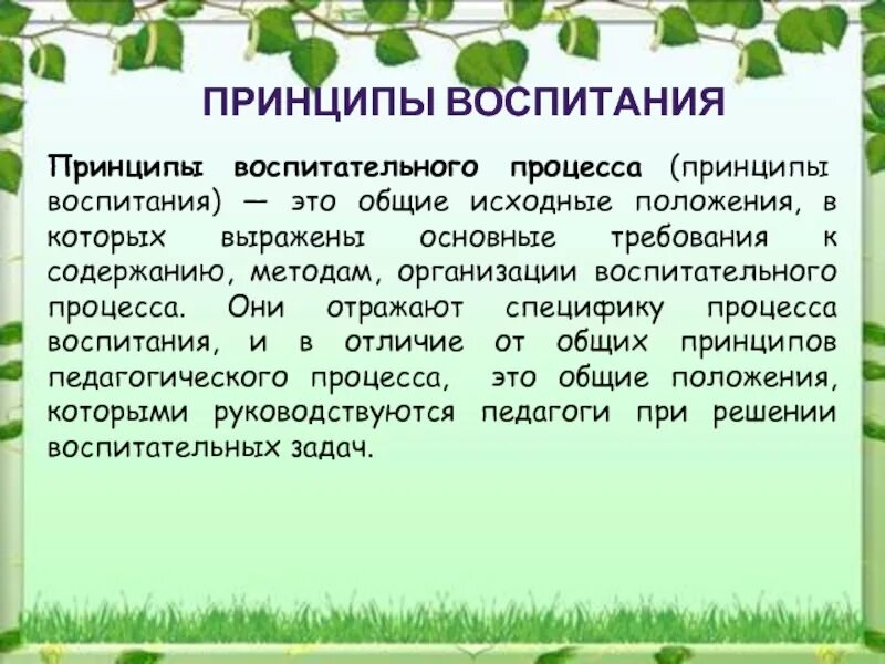 Содержание процесса воспитания принципы воспитания. Принципы воспитательного процесса. Принципы воспитания Общие исходные положения. Особенности процесса воспитания как педагогического явления. Принцип воспитание это Общие исходные.