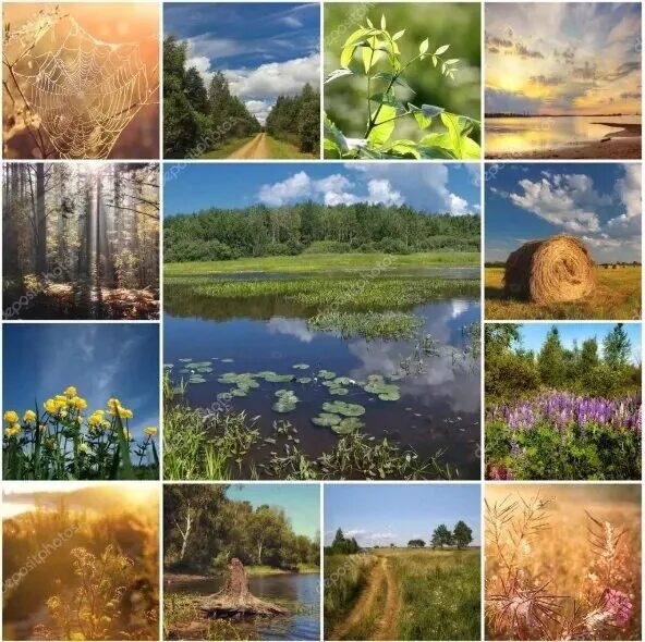 Природа в моей жизни это. Природный коллаж. фотоколлаж природа. фотоколлаж красивая природа.