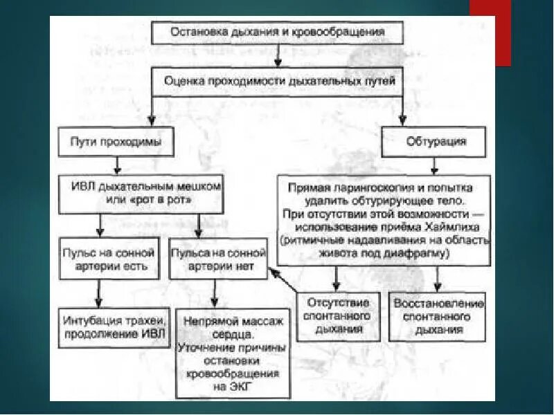 Остановка дыхания алгоритм. Алгоритм действий при отсутствии кровообращения. Первая помощь при остановке кровообращения алгоритм. Остановка дыхания и кровообращения. Причины внезапной остановки кровообращения.