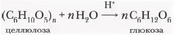 Химические свойства целлюлозы образование сложных эфиров. Гидролиз целлюлозы формула. Целлюлоза и вода реакция. Гидролиз целлюлозы уравнение. Целлюлоза вода глюкоза