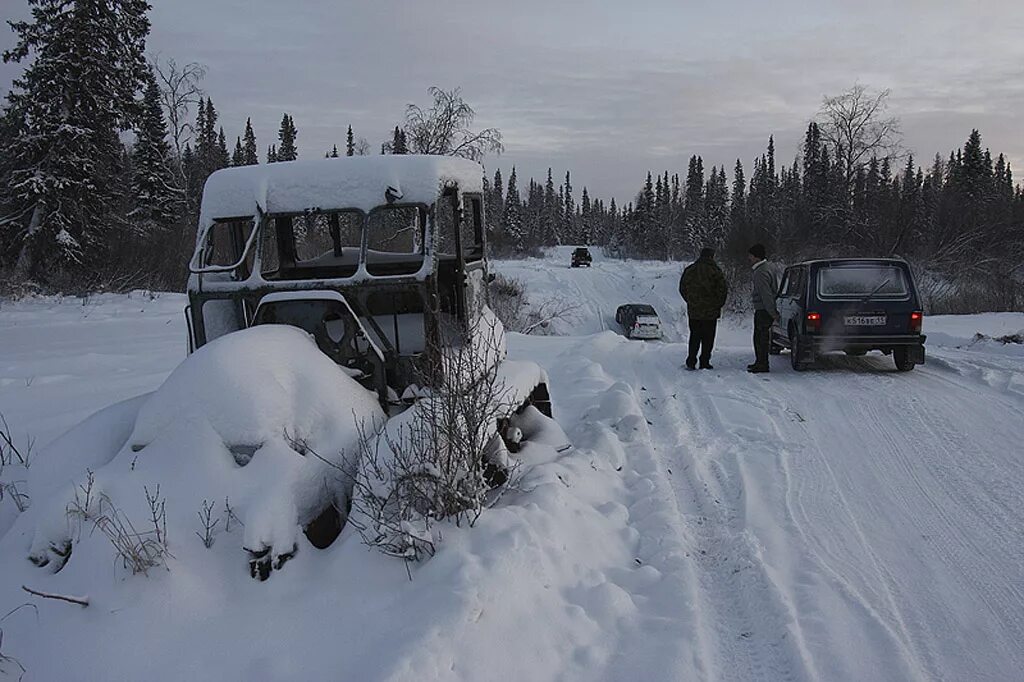погода в ижме на 3