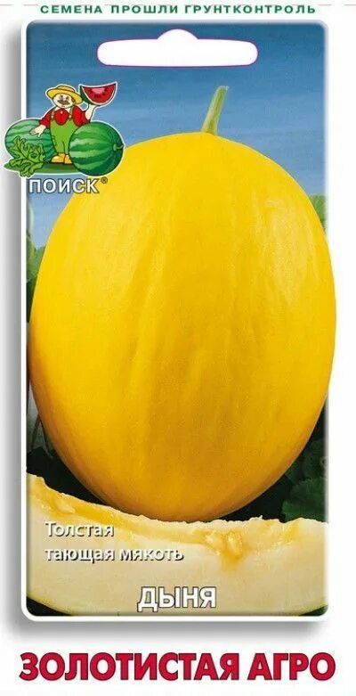 Дыня золотистая агро. Дыня агро. Семена дыни. Дыня агро. Дыня агро.