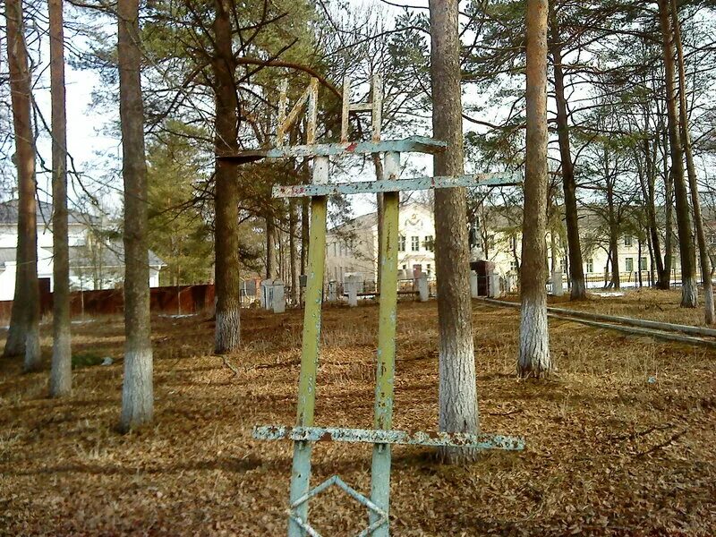 Погода в семлево вяземский