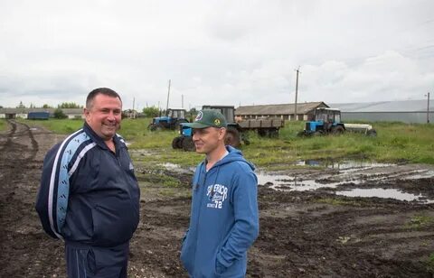Погода в можарах рязанской