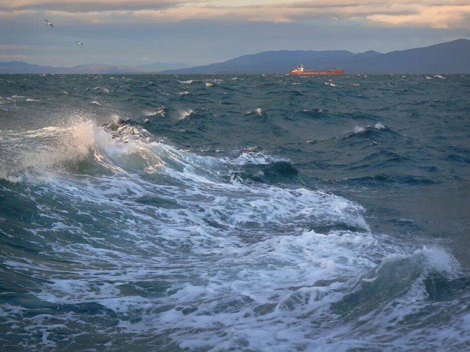 Город ветров морская. Японское море залив Петра Великого. Залив Петра Великого Владивосток. Японское море залив Петра Великого бухты.