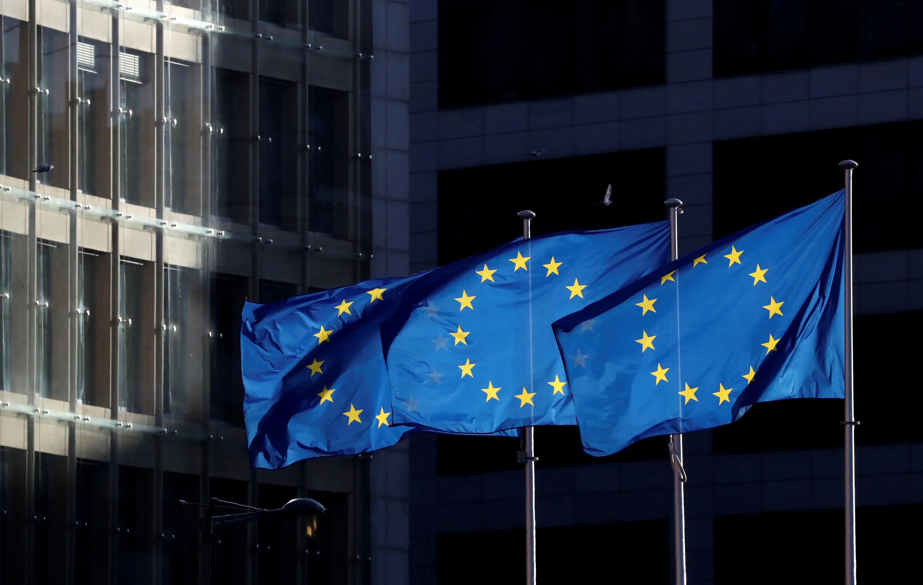 Европейский союз страны россия. Европейский Союз (Евросоюз, ЕС). Европейский Союз 1958. Флаг совета Европы. Флаг европейского Союза.