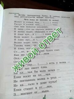 Доказательство окончания