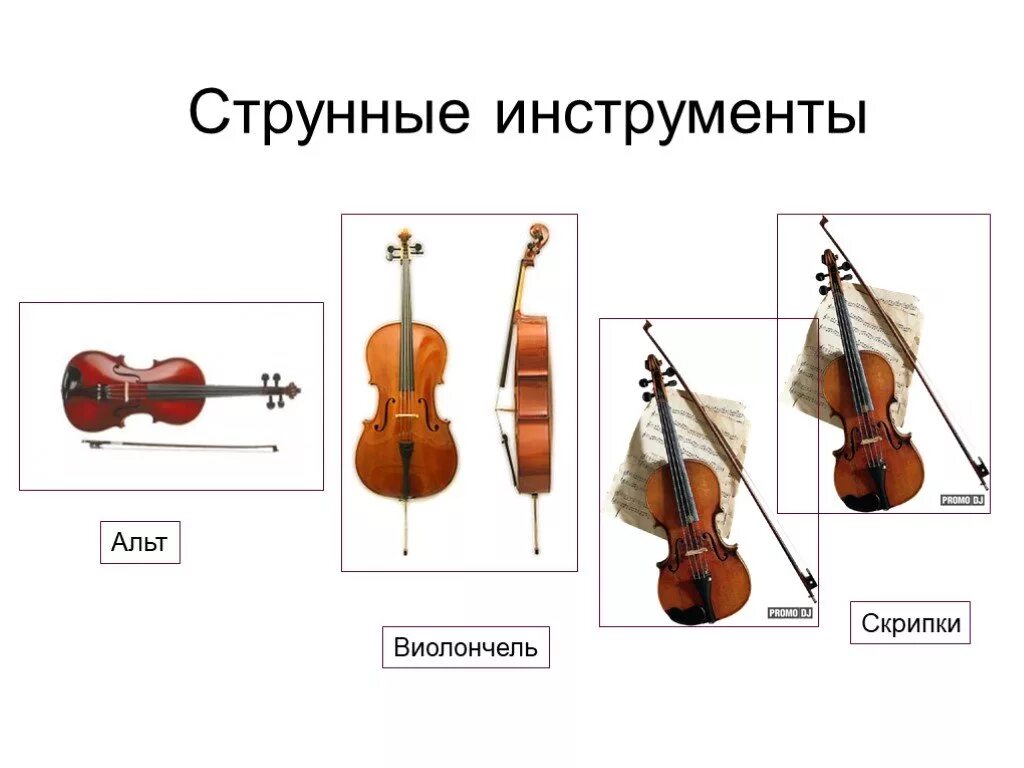 Струнные смычковые по высоте звучания. Струнные музыкальные инструменты. Струнно-смычковые музыкальные инструменты. Смычковые инструменты названия. Струнные инструменты названия.