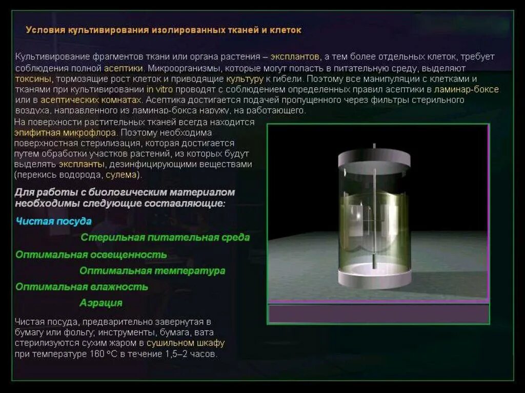 Метод культивирования клеток и тканей. Методы культивирования изолированных тканей и клеток растений. условия культивирования клеток растений. питательные среды для культивирования растительных клеток. метод культивирования растительных тканей это.