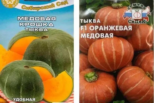 Тыква мускатная медовая. Тыква медовая крошка. Тыква крупноплодная медовый десерт. Семена тыква медовая сказка. Сорт тыквы крошка