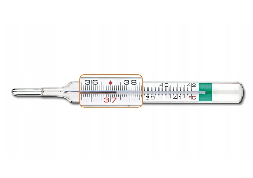 Термометр безртутный Wuxi Medical. Шкала безртутного градусника. Градусник безртутный стеклянный. Жидкость в безртутном градуснике.