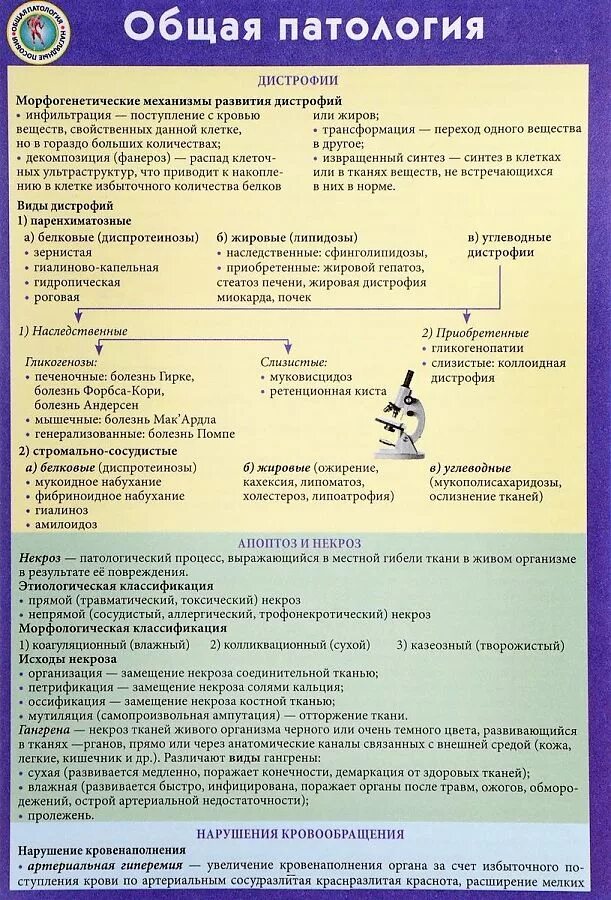 Общая патология тесты. Шпаргалки по патологии. Издательство Эксмо шпаргалки по патологии. Общая патология.