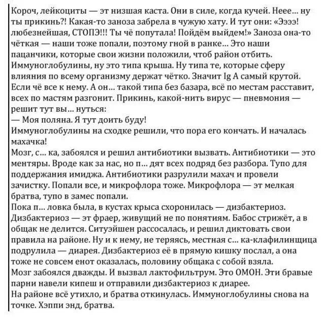 Лейкоциты это Низшая Каста. Шутки про лейкоциты. Антибиотики это ОМОН. Лейкоциты Низшая Каста анекдот. Текст песни живу по понятиям