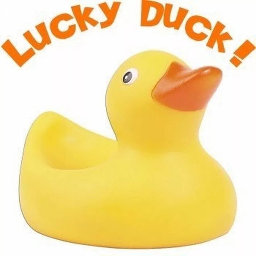 Лаки даки логотип. Duck luck. Lucky duck игра. Lucky duck. Lucky duck.