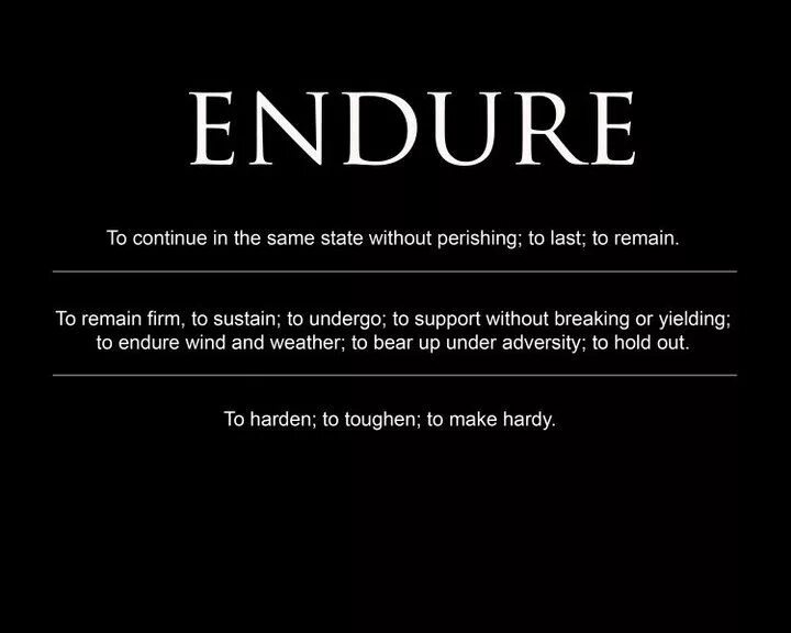 Same state. Endure. Endure перевод. Endure 3 формы. Enduring adversity.