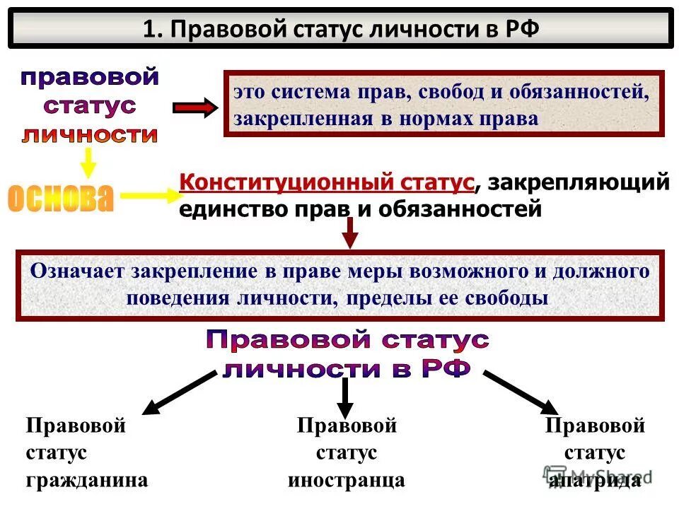 Конституционный статус человека и гражданина рф кратко