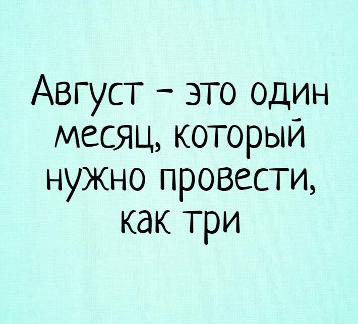 Статусы про месяца. Шутки про август. Цитаты про август. Фразы про август смешные. Афоризмы про август смешные.