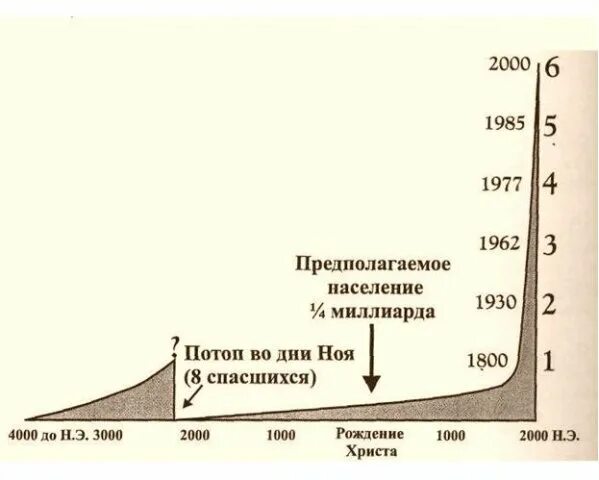 Сколько жило людей за всю историю