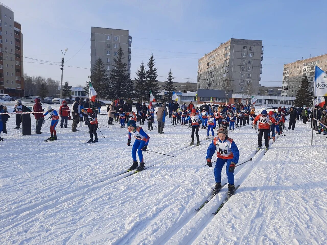 Погода в бердске. А спорт Бердск. Бердск спортивный. Соревнования Бердск. Спортивная школа Бердск.