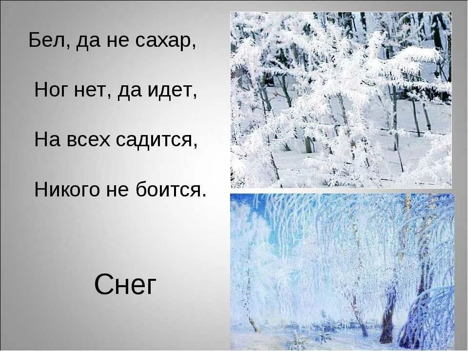 Быстрее воды белее снега загадка