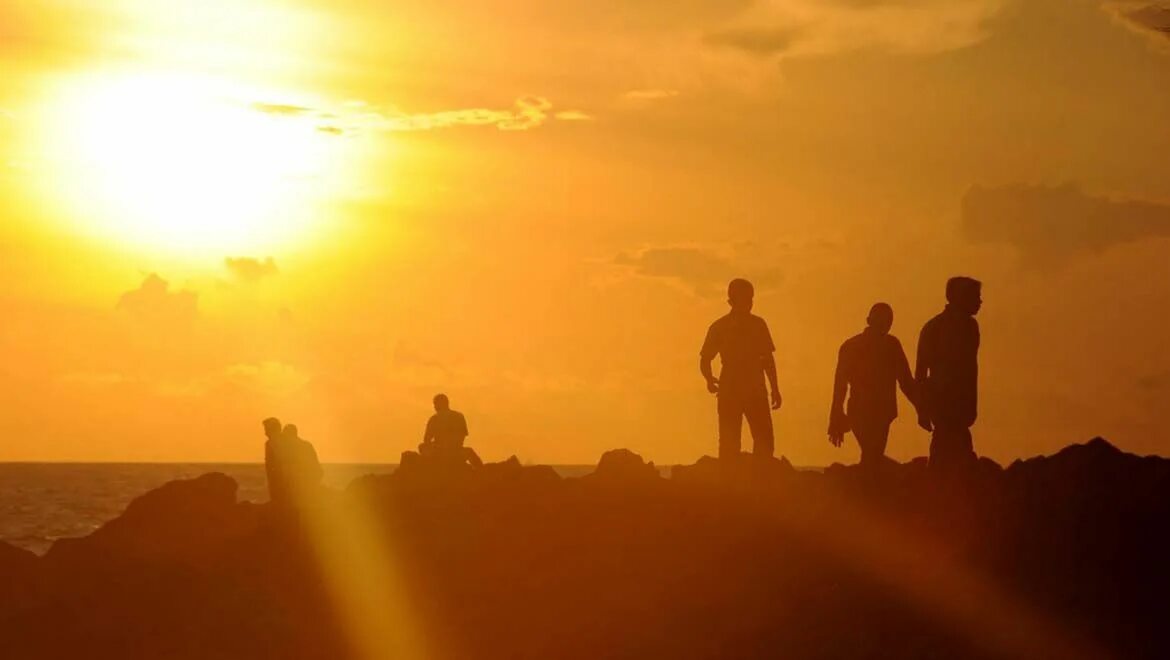 The day was hot and sunny. Hot day. hot day picture. hot summer day. the heatwave.