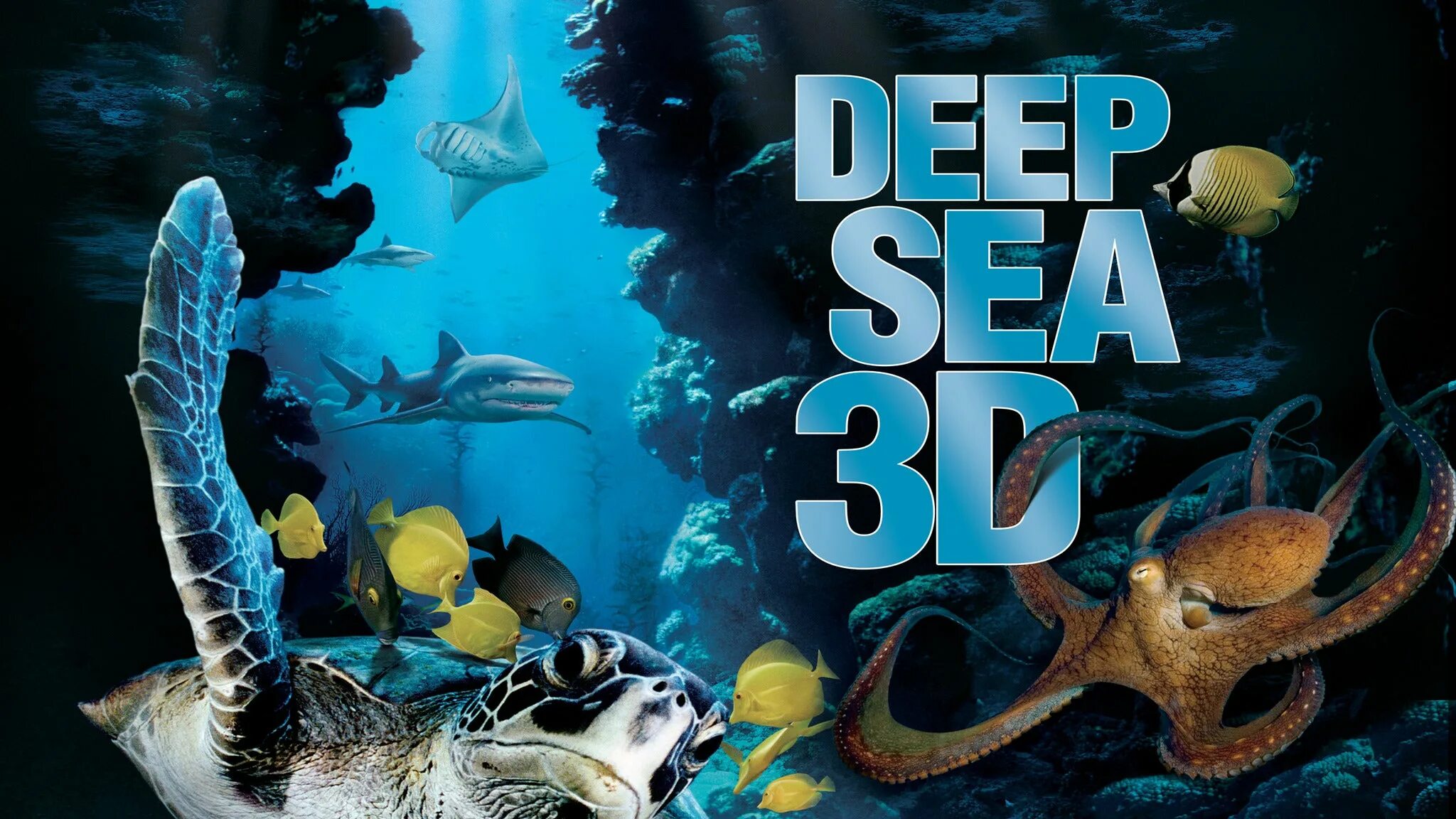 The Deep Sea на 360. Deep Sea Neal. Deep Deep Sea. Neal fun Deep Sea.