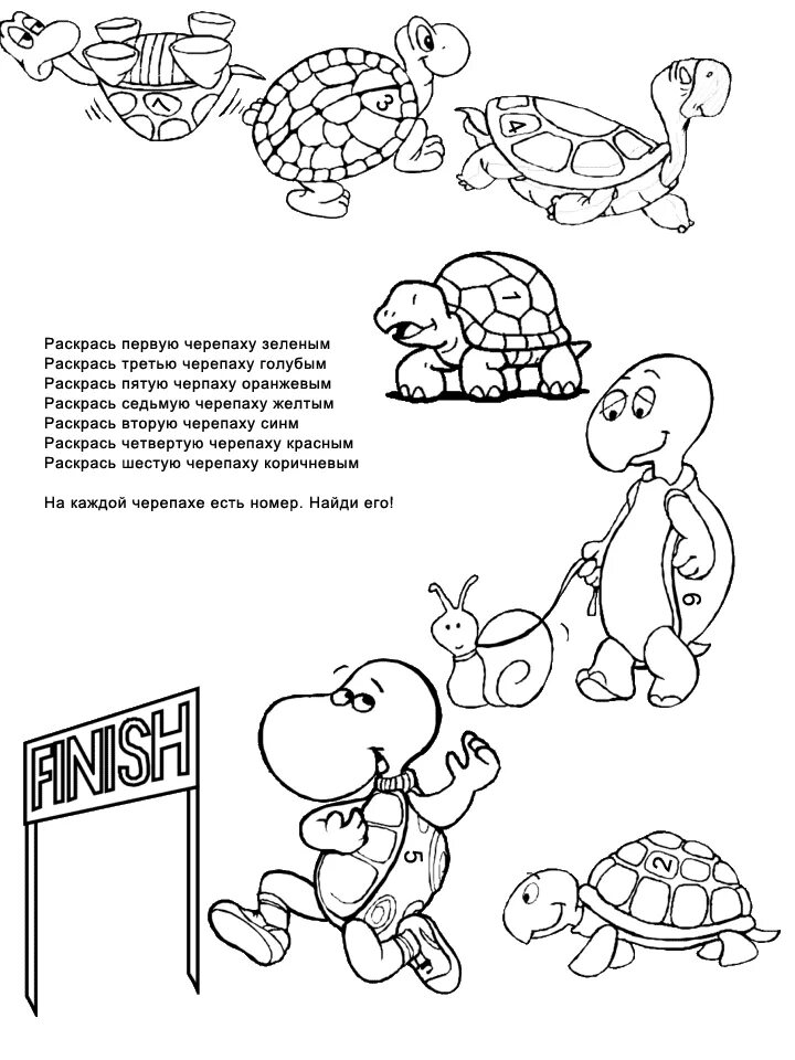 Задание про черепах