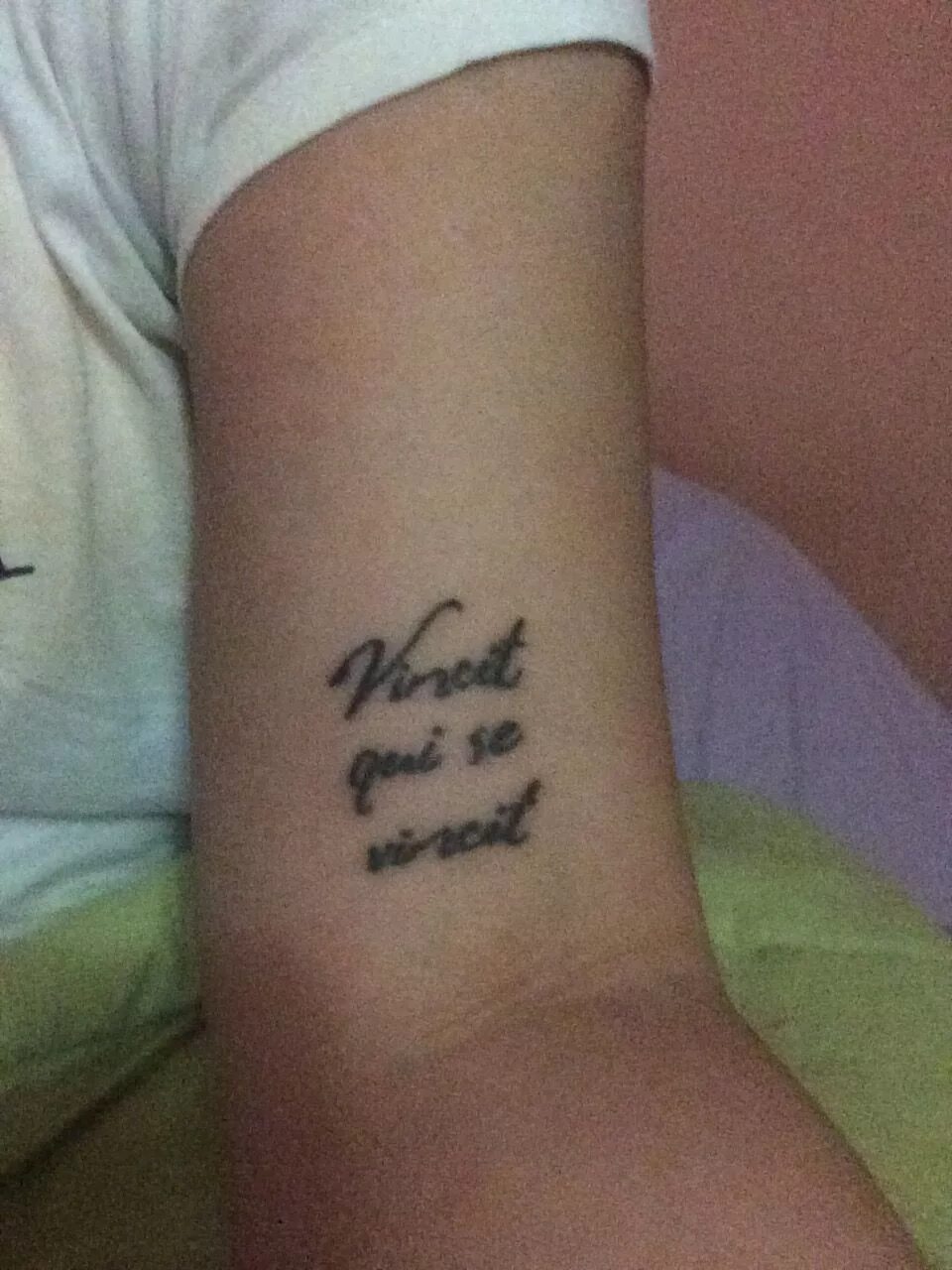 татуировка vincit qui se vincit. тату надпись amor vincit omnia. через тернии к звездам тату. Vincit qui se vincit эскиз. Vincit qui se vincit шрифты.