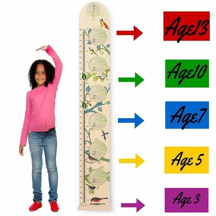 Height rule. Низкий рост линейка. линейка роста человека. линейка для детей. height.