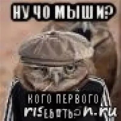 Как сыч что значит. Сыч мем. сыч гопник. сыч двач. сыч человек мем.
