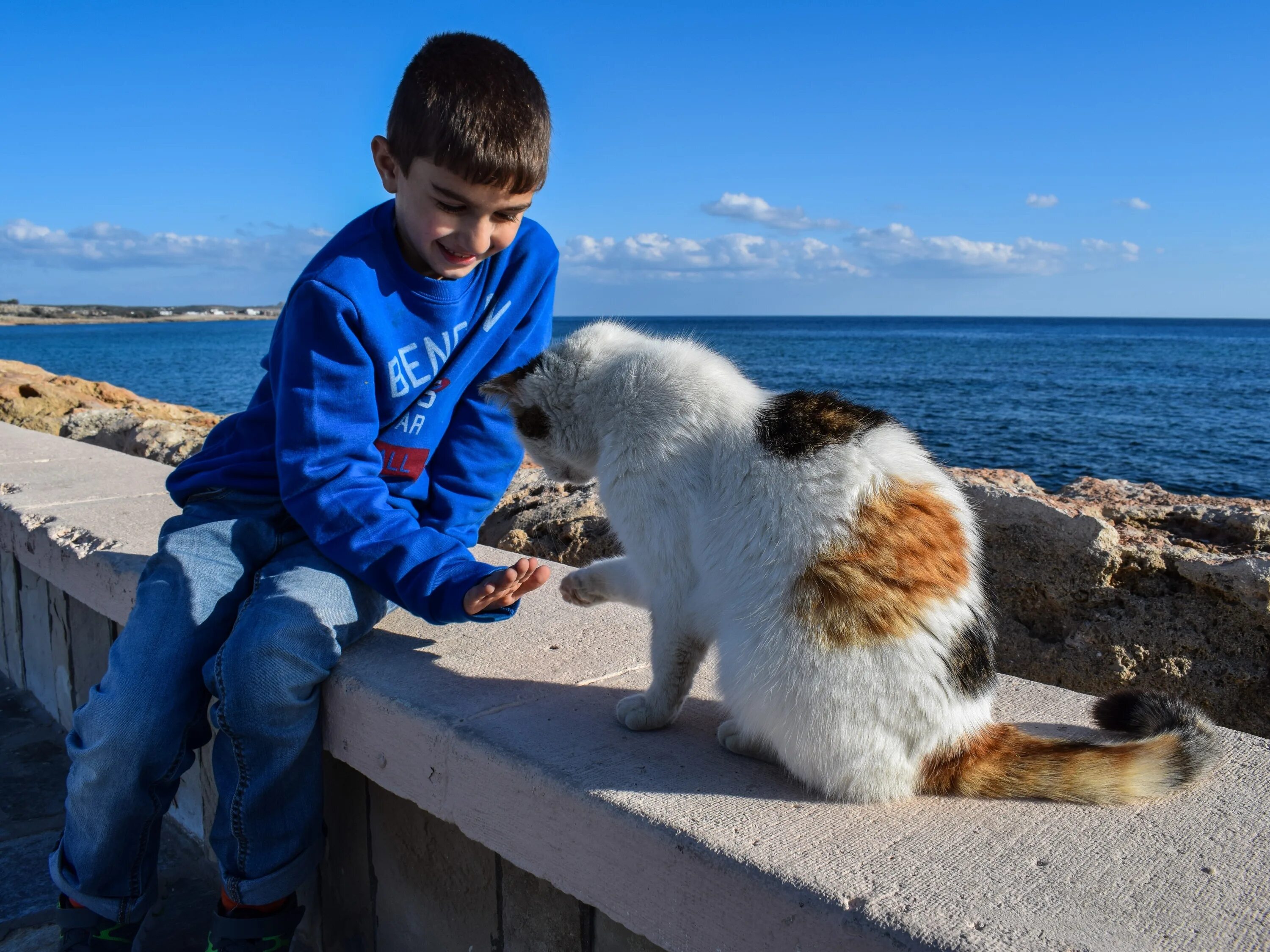 Для детей. Животные. Мальчик с котом. Кошка для детей. Кот мальчик игра