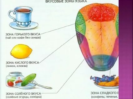 Разновидность вкусов