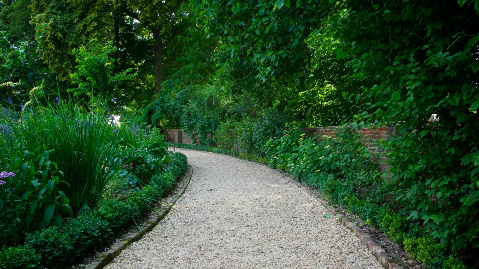 Forward path