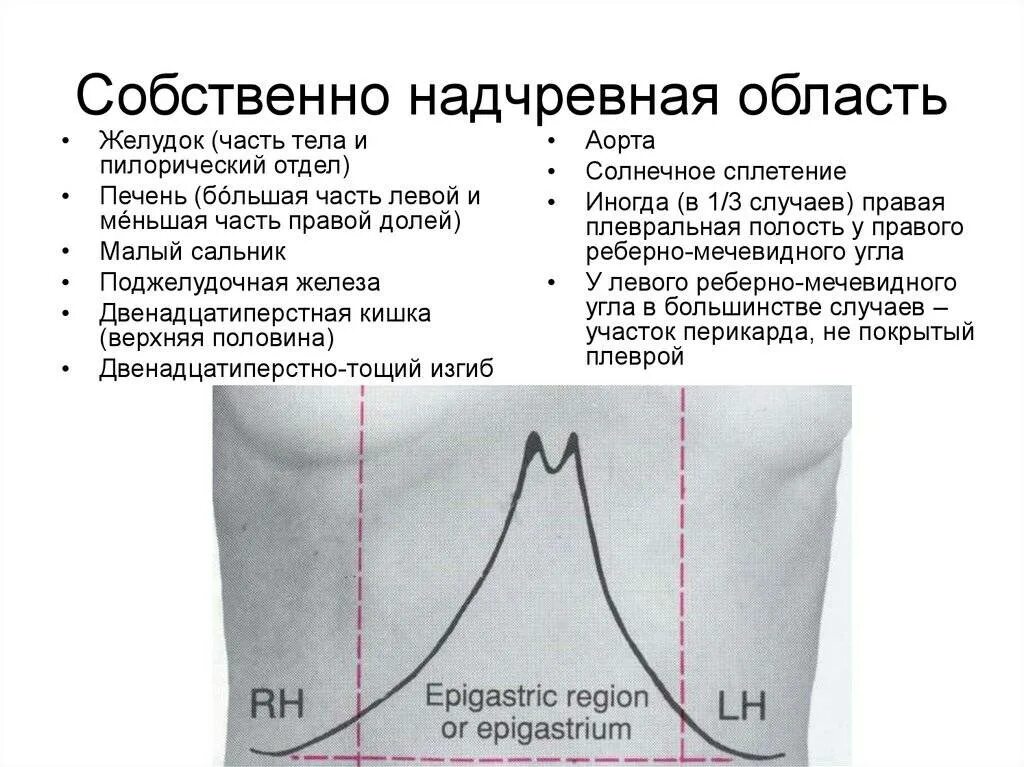 Верхний эпигастрий. Собственно надчревная область. Эпигастральная область. Собственно намреная область. Боль в надчревной области.