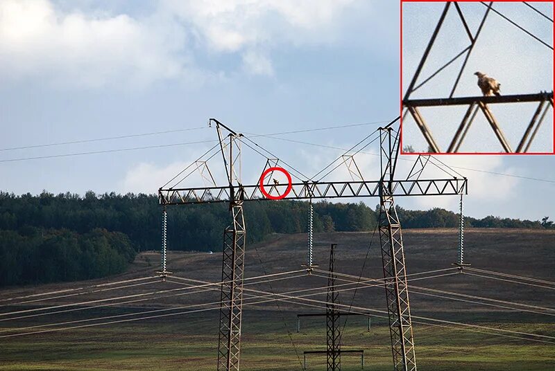 Пролет вл 10 кв