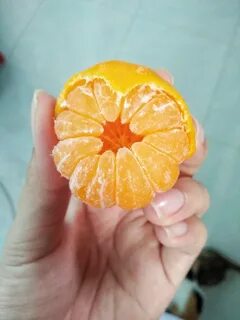 Маленький грейпфрут