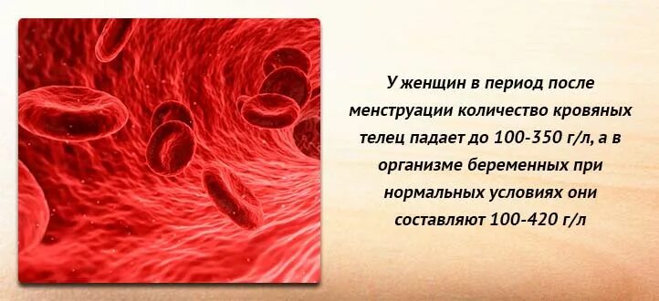 Как поднять тромбоциты у женщин. Тромбоциты в крови. зачатие и повышенные тромбоциты. тромбоциты при гестозе. тромбоцитоз у беременных.