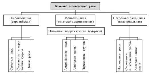 Расы 8 класс таблица Решено)Параграф 2 ГДЗ Пасечник 8 класс по биологии