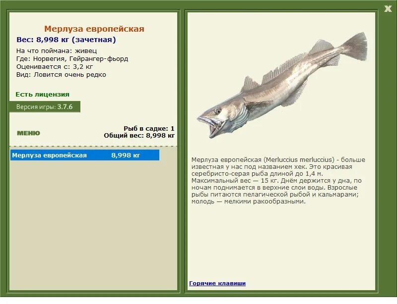 рыба хек в черном море. псевдоним мерлузы 3 буквы. капская мерлуза. хек валастро. хек тихоокеанский.