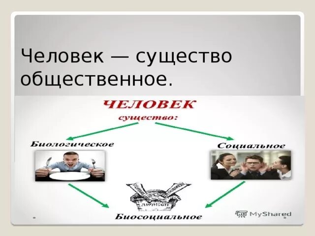 Человек как Общественное существо. Социальное Общественное существо.