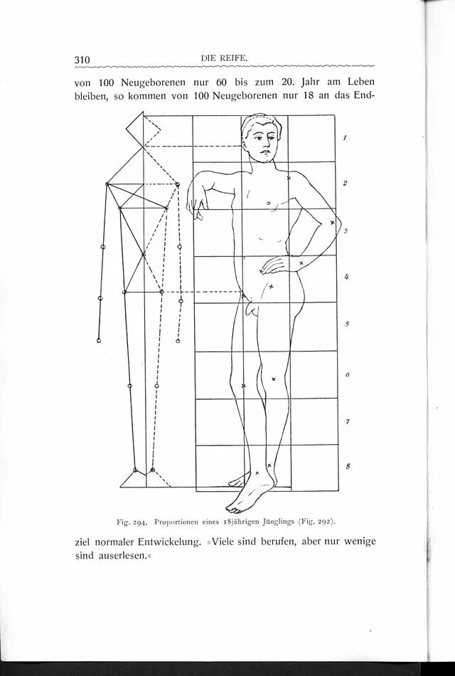 Греческие пропорции тела женщины. Пропорции тела в древней Греции. Пропорции тела теория. Пропорции тела у разных рас. Stratz com