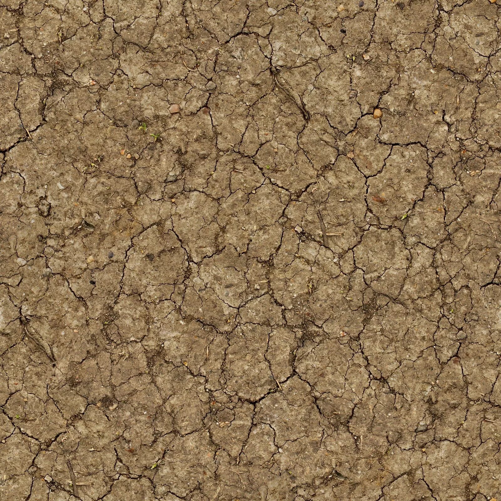 Seamless texture