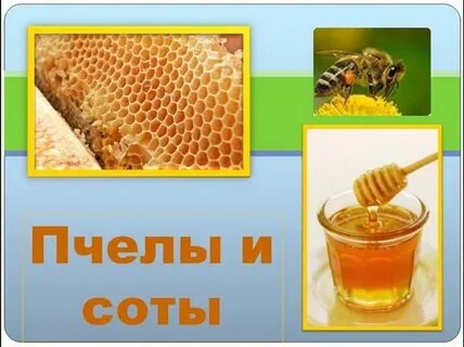 Пчела 1 класс