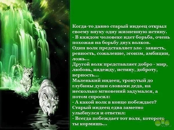 Которые когда то давно