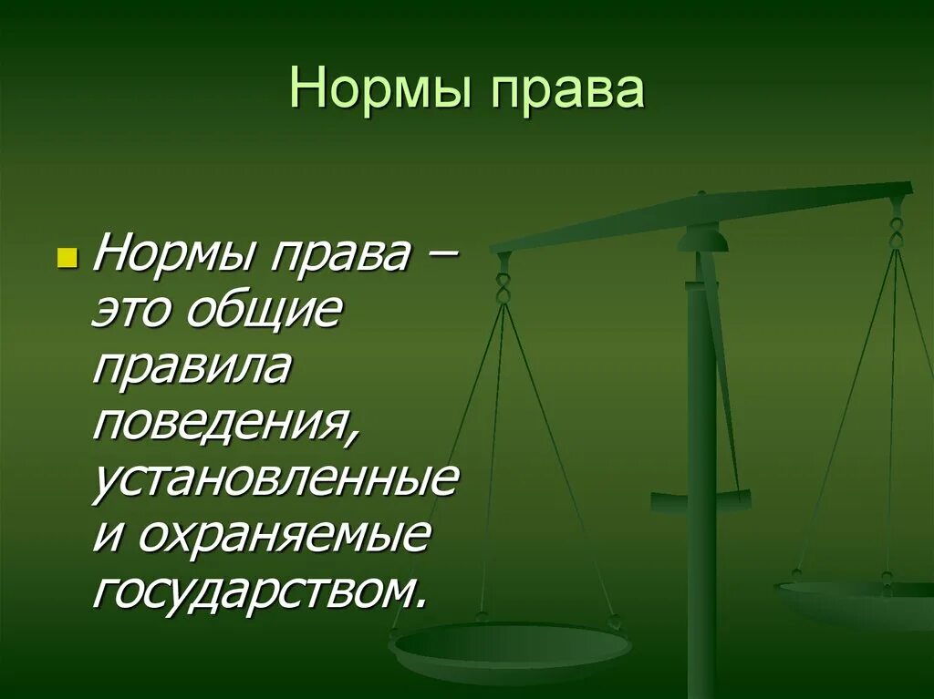 Право и правовые нормы. Ооо право норм