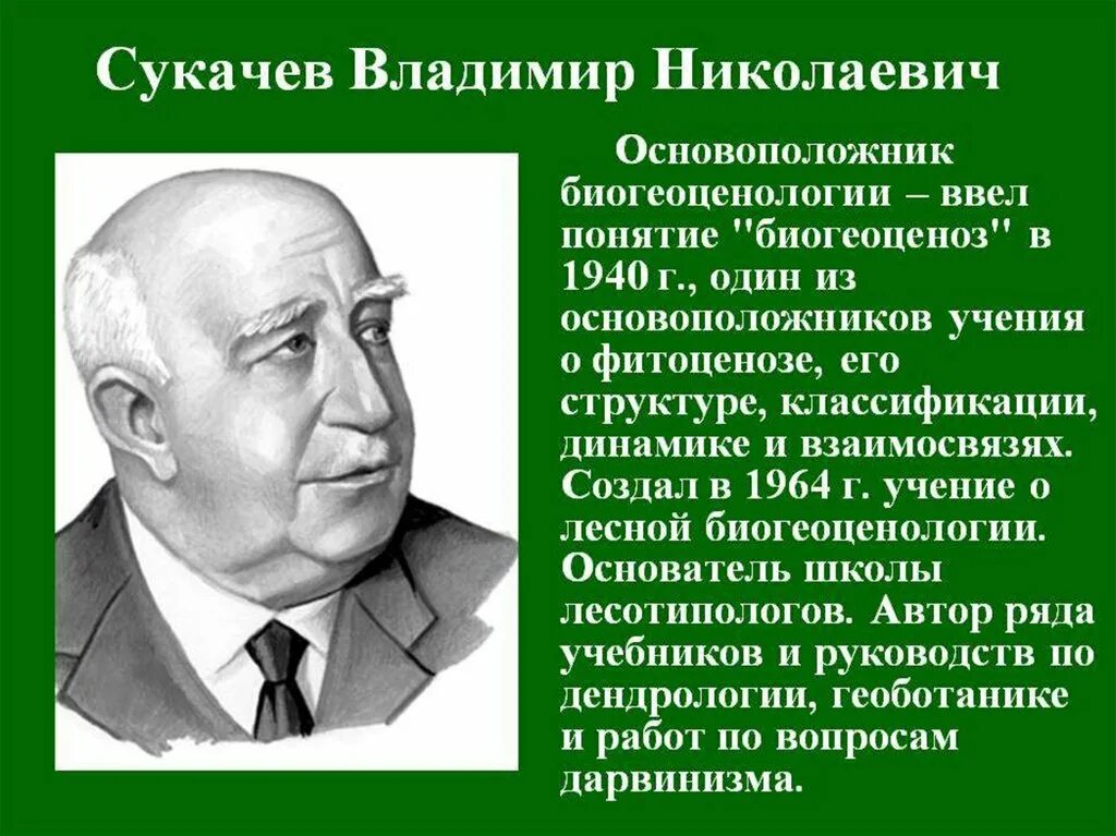 Н сукачев вклад в развитие экологии. Сукачёв владимир николаевич биогеоцкноз. биогеоценоз сукачев владимир николаевич. в н сукачев вклад в биологию. сукачев владимир николаевич вклад.