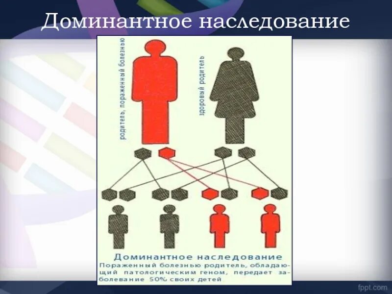 Доминантное наследование. Доминантный Тип наследования. Аутосомно-доминантное наследование. Схема наследования. Шизофрения передается по наследству какой линии