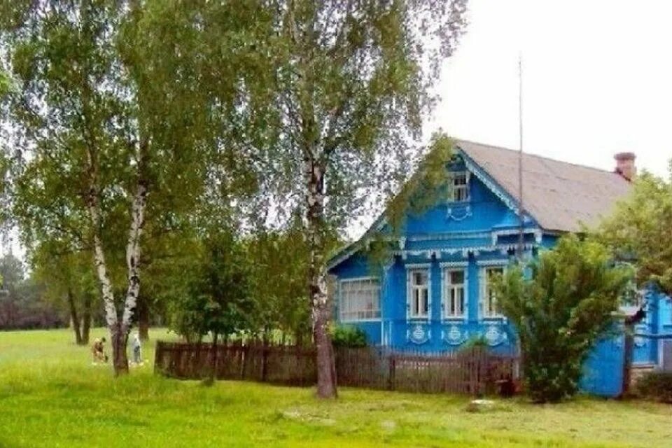 Снять дом в деревне вытти. Деревенские дома. домик в деревне. голубой деревенский домик. домик в деревне с березой.