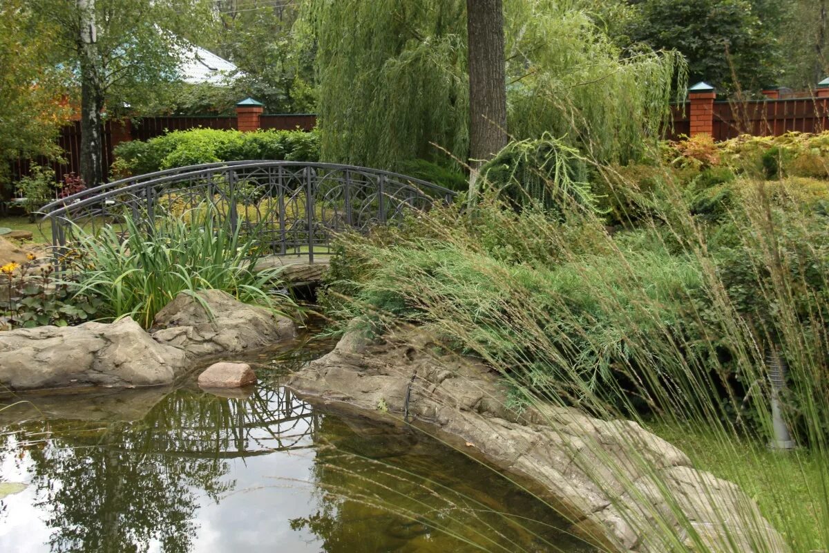 С мамкой на пруду. Дети и природа. Летом на речке. Утята дикой утки кряквы. Пруд мам.